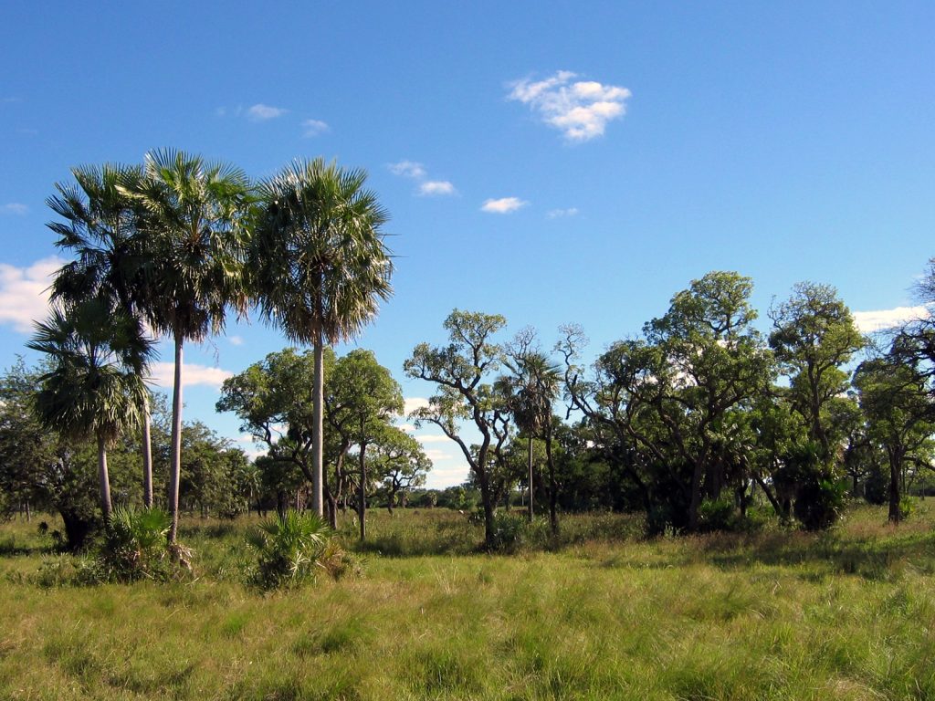 Gran Chaco, Paraguay