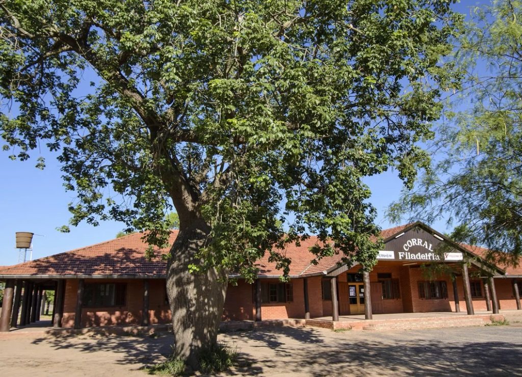 Fuente: Overkill53 - Trabajo propio, CC BY-SA 4.0, https://commons.wikimedia.org/w/index.php?curid=92194032