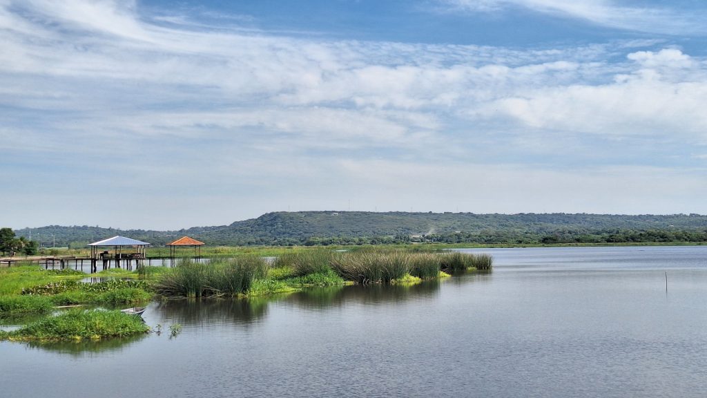 Paisaje junto al lago Ypacaraí